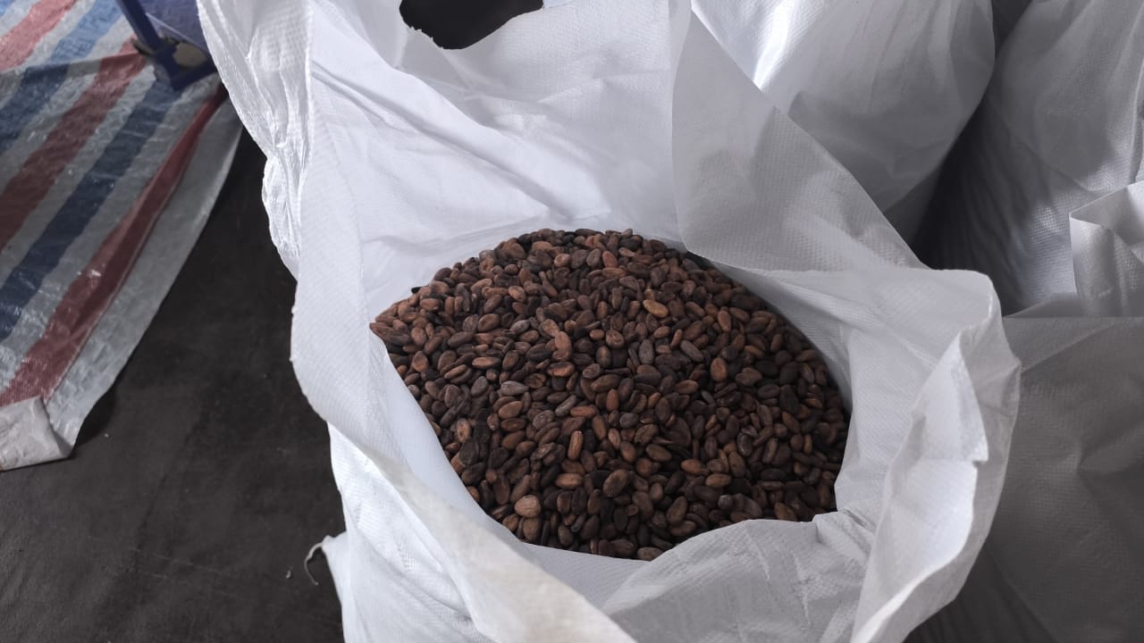 Fèves de cacao from Madagascar